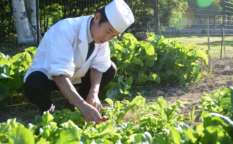 定山渓第一寶亭留 翠山亭の「新鮮野菜」